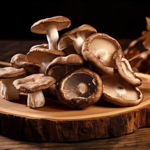 Psilocybin Mushrooms