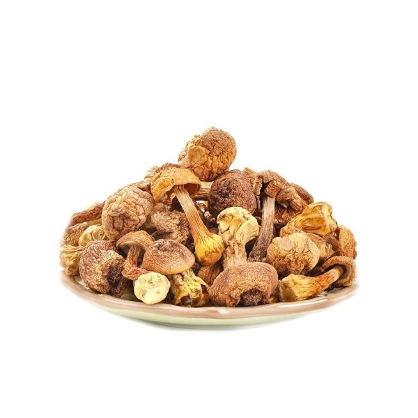 Buy Agaricus Mushroom Online