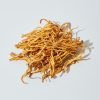 Buy Cordyceps Mushroom