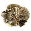 Buy Turkey Tail Mushroom Online